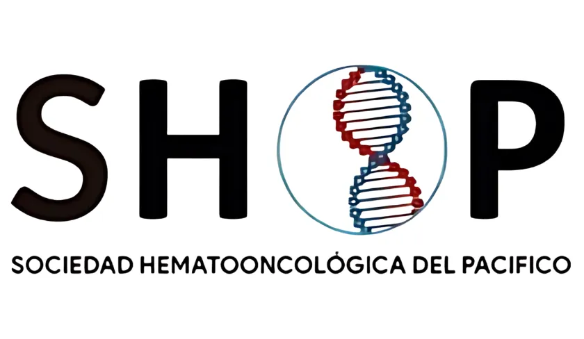 Logo 13