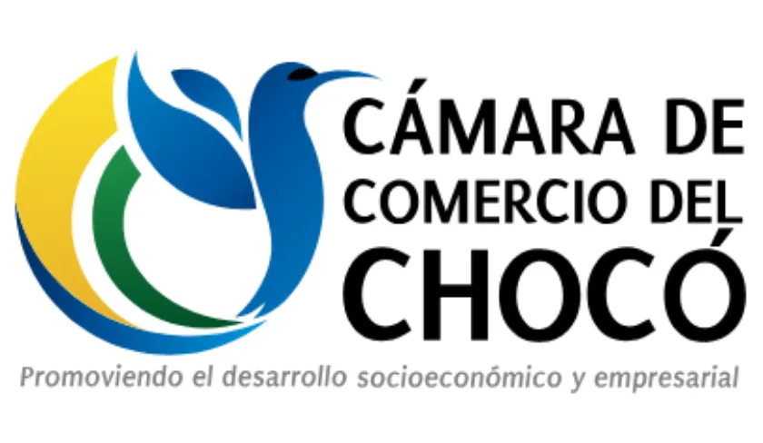 Logo 15